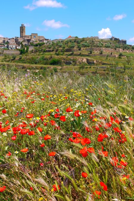 ara mateix davant casa