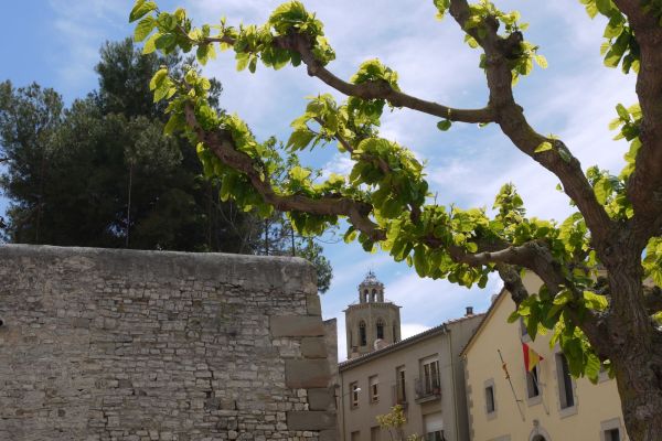 fon jutjats i muralla