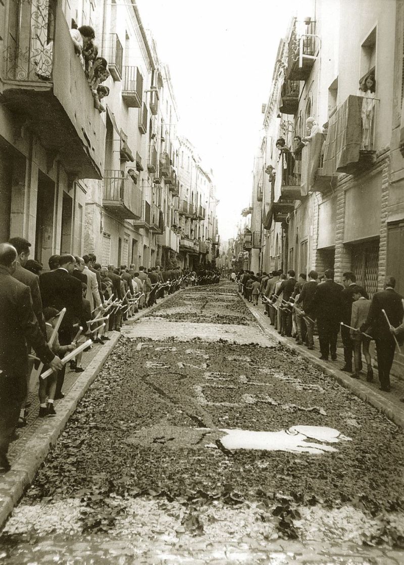 carrer major catifes