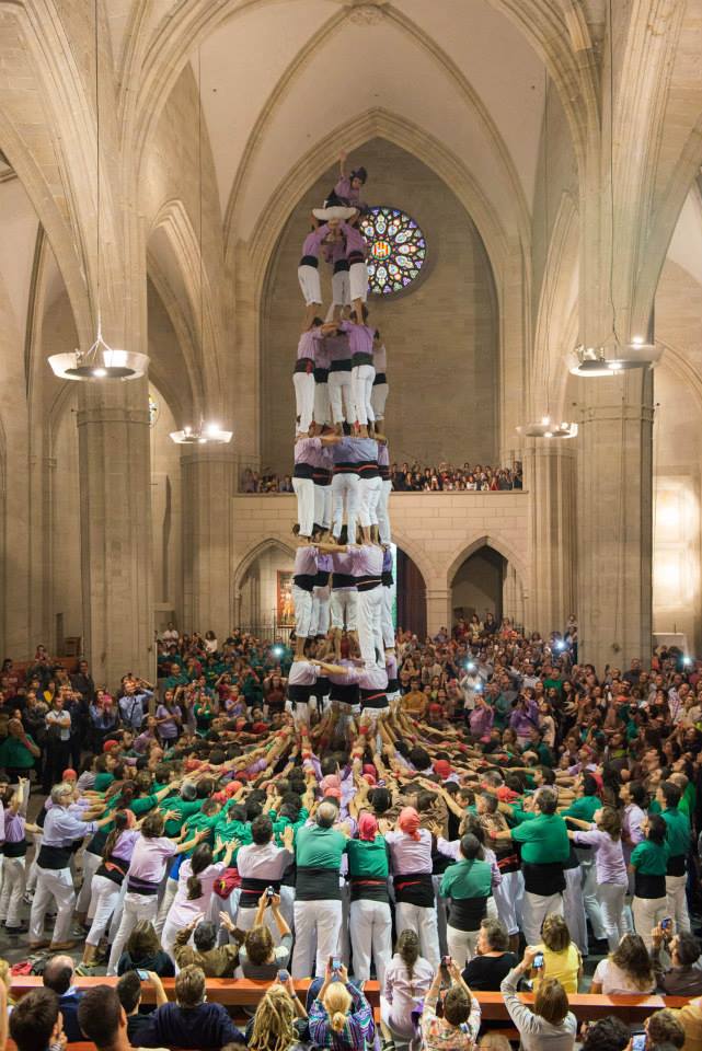 1891196_333047916867430_7088726576927438141_n